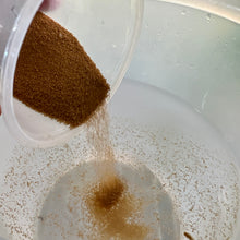 BTI POWDER how to use for gnats in water
