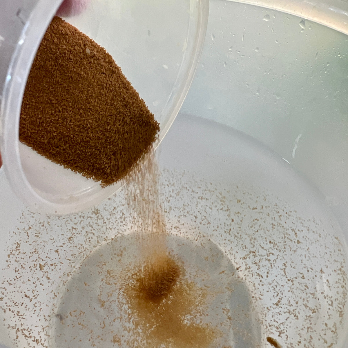 Fungus Gnat Control - Biological Organic Larvicide - Bacillus