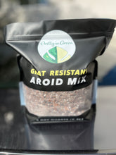 GNAT RESISTANT AROID MIX - Coco Husk, Perlite, BTI - RARE PLANT SOIL - SHIPS FREE