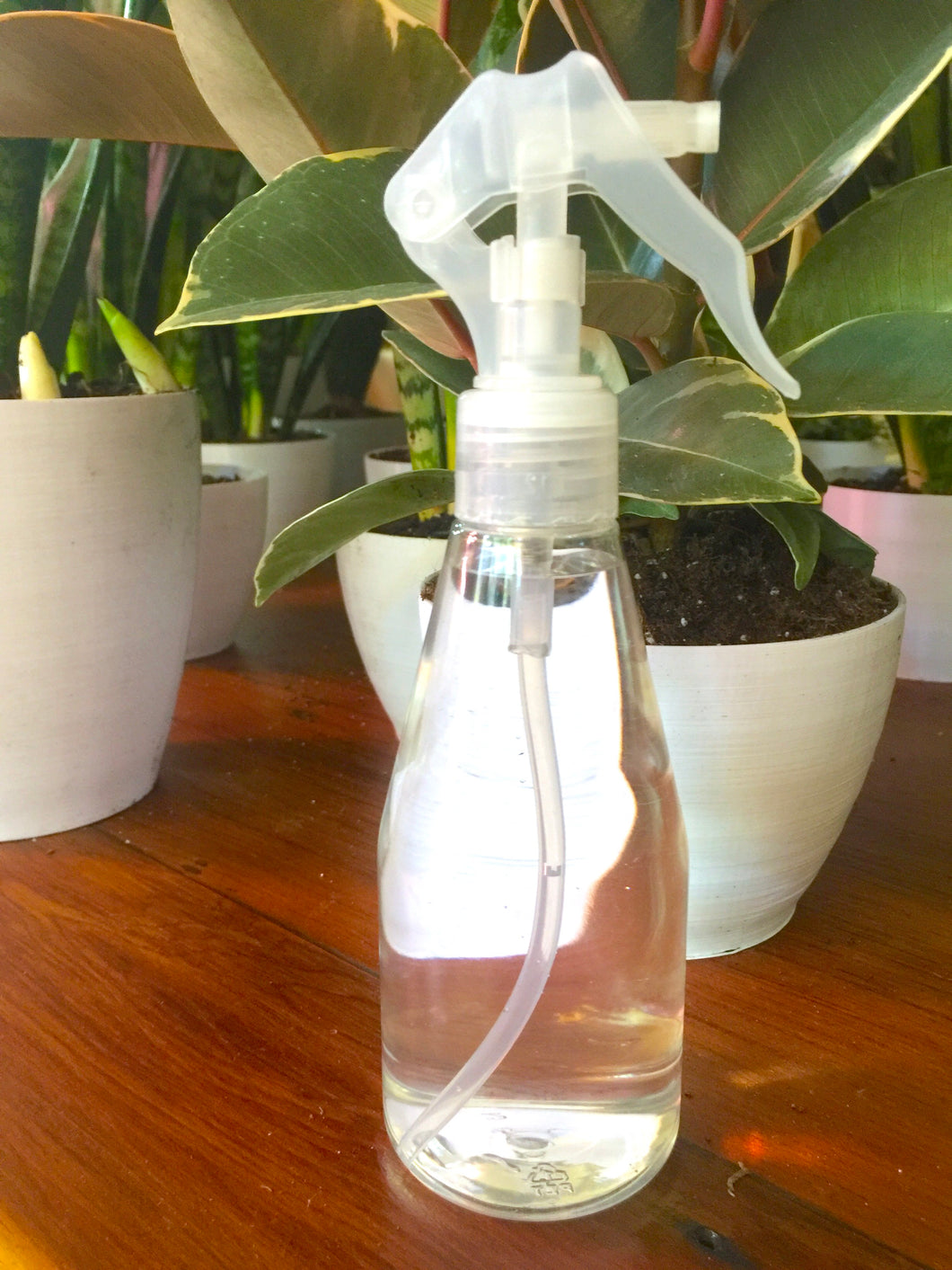 Plant Water Mister - Clear Spray Bottle - 7oz / 200ml - gardening tool - Pretty in Green Plants