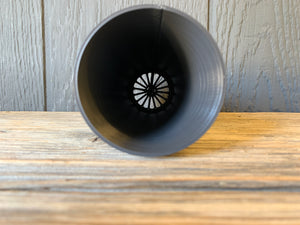 LECA Pot - BioPot for Quart Wide Mouth Mason Jar - Ball Quart or Kerr Mason Jar
