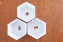 HoneyComb Set of 3D Printed BioPots™️ - Set of 3" Plant Pots with Drainage & Saucers