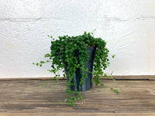 Flared 3D Printed 4" BioPot™️ - Medium White Planter with Drainage & Saucer - Eco Friendly Plant Pot Set