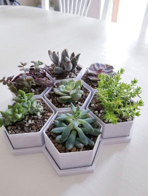 Seven hexagon shaped 3D printed pots all together on one  Honeycomb shaped saucer. Great for succulents and very small plants.