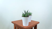 Flared 3D Printed 4" BioPot™️ - Medium White Planter with Drainage & Saucer - Eco Friendly Plant Pot Set